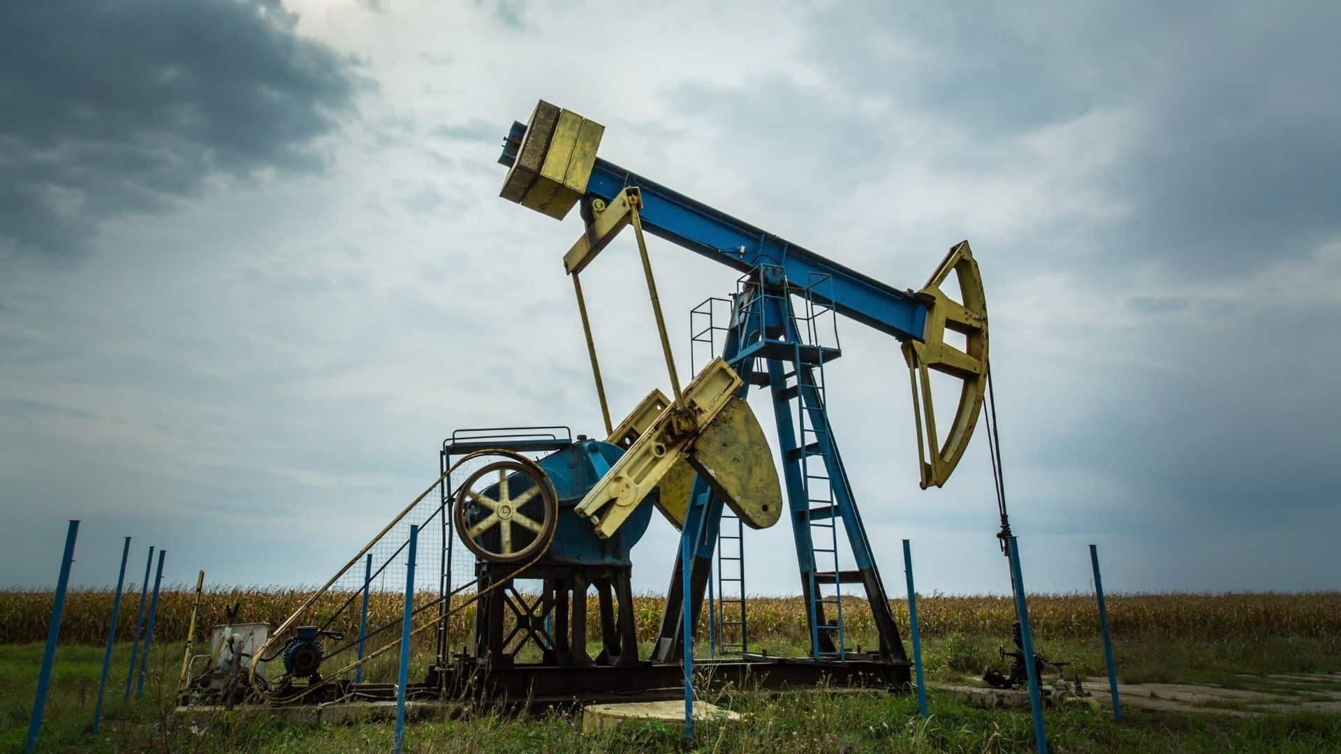 The leading Ukrainian oil company, Ukrnafta, improved work processes and efficiency by deploying Power BI and Office 365 cloud services.