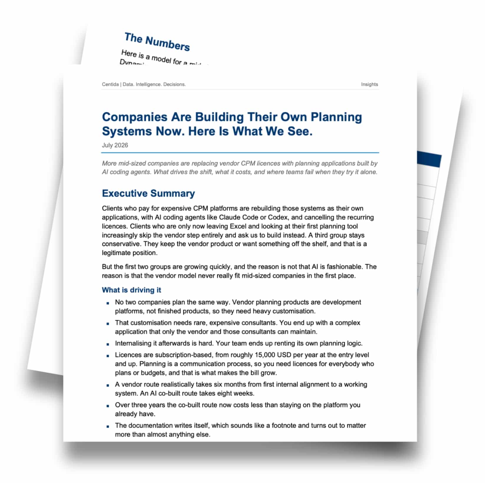 Integrated Planning and Reporting Article